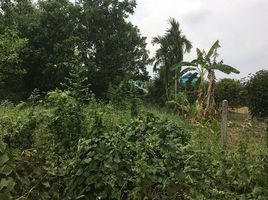  Land for sale in Chanthaburi, Khlung, Khlung, Chanthaburi