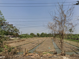  Grundstück zu verkaufen in Nakhon Chai Si, Nakhon Pathom, Lan Tak Fa, Nakhon Chai Si, Nakhon Pathom