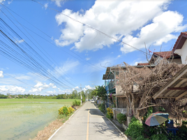 2 Bedroom Townhouse for rent in Chiang Mai, Yang Noeng, Saraphi, Chiang Mai