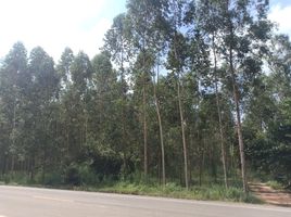  Land for sale in Si Maha Phot, Prachin Buri, Krok Sombun, Si Maha Phot