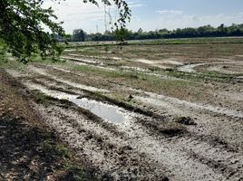  Grundstück zu verkaufen in Mueang Phichit, Phichit, Pak Thang