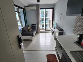 Studio Wohnung zu vermieten im ZCAPE III, Wichit, Phuket Town, Phuket