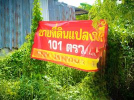在Phutthamonthon, 佛统出售的 土地, Khlong Yong, Phutthamonthon