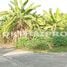  Land for sale in Sam Phran Nakhon Pathom, Sam Phran, Sam Phran