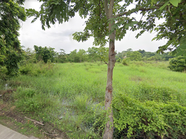  Land for sale in Tha Kwian School, Nong Chom, Nong Chom
