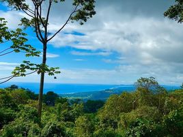  Land for sale in Puntarenas, Aguirre, Puntarenas