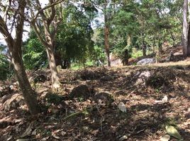 Land for sale in Patong Hospital, Patong, Patong