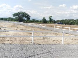  Land for sale in Ban Klang, San Pa Tong, Ban Klang