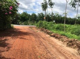  Grundstück zu verkaufen in Dau Tieng, Binh Duong, Dinh Thanh