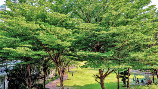 วิวเสมือนจริง of the Communal Garden Area at เดอะ วอเตอร์ฟอร์ด สุขุมวิท 50