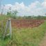  Land for sale in Pak Chong, Nakhon Ratchasima, Khanong Phra, Pak Chong