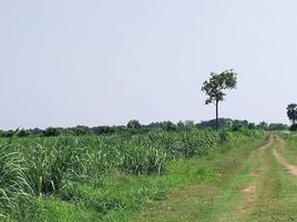  Grundstück zu verkaufen in Non Sung, Nakhon Ratchasima, Non Sung