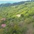  Land for sale in Aguirre, Puntarenas, Aguirre