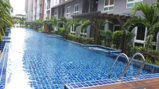 Photos 1 of the Communal Pool at The Trust Central Pattaya