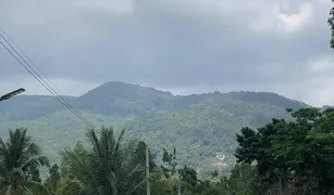 N/A Grundstück zu verkaufen in Koh Phangan, Surat Thani 
