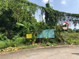  Land for sale in Sai Ma, Mueang Nonthaburi, Sai Ma