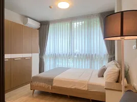 1 Bedroom Condo for rent at Connext, Talat Nuea