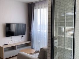 2 Schlafzimmer Wohnung zu verkaufen im Ideo O2, Bang Na, Bang Na, Bangkok