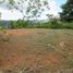  Land for sale in Aguirre, Puntarenas, Aguirre