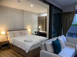 1 Bedroom Condo for rent at La Habana , Nong Kae, Hua Hin, Prachuap Khiri Khan, Thailand