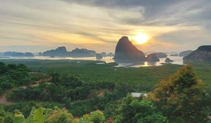 N/A Grundstück zu verkaufen in Tha Yu, Phangnga 