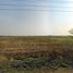  Land for sale in Bo Ta Lo, Phra Nakhon Si Ayutthaya, Bo Ta Lo, Wang Noi