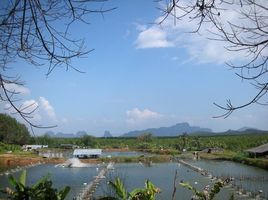  Grundstück zu verkaufen in Takua Thung, Phangnga, Kalai, Takua Thung, Phangnga