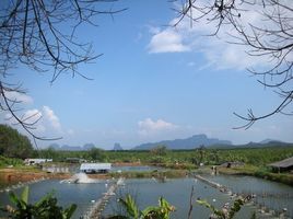  Grundstück zu verkaufen in Takua Thung, Phangnga, Kalai, Takua Thung