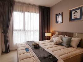 1 Schlafzimmer Appartement zu vermieten im Life Sukhumvit 48, Phra Khanong