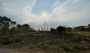 N/A Grundstück zu verkaufen in Wang Sai, Nakhon Ratchasima 