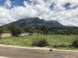  Land for sale in Cotacachi, Imbabura, Cotacachi, Cotacachi