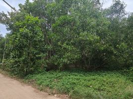  Land for sale in Chak Phong, Klaeng, Chak Phong