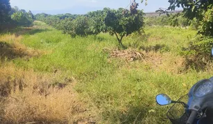 N/A Land for sale in Mae Faek Mai, Chiang Mai 