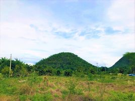  Land for sale in Kanchanaburi, Wang Dong, Mueang Kanchanaburi, Kanchanaburi