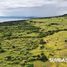  Grundstück zu verkaufen in Sumba Timur, East Nusa Tenggara, Paberiwai, Sumba Timur, East Nusa Tenggara, Indonesien