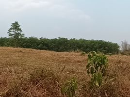  Land for sale in Phayao, Na Prang, Pong, Phayao