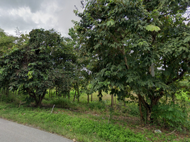  Land for sale in Mae Puem, Mueang Phayao, Mae Puem