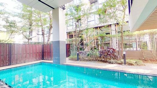 写真 1 of the Communal Pool at Palm Springs Nimman Fountain 