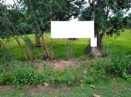  Land for sale in Samut Prakan, Laem Fa Pha, Phra Samut Chedi, Samut Prakan