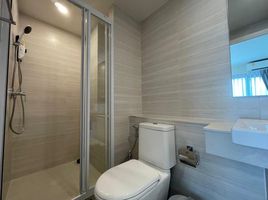 1 Schlafzimmer Appartement zu vermieten im Phyll Phuket by Central Pattana, Wichit