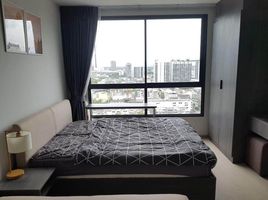 1 Bedroom Condo for rent at Elio Del Nest, Bang Na, Bang Na