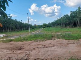  Land for sale in Pluak Daeng, Rayong, Maenam Khu, Pluak Daeng