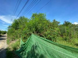  Grundstück zu verkaufen in Sai Noi, Nonthaburi, Sai Noi, Sai Noi