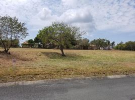  Land for sale in Panama Oeste, Nueva Gorgona, Chame, Panama Oeste