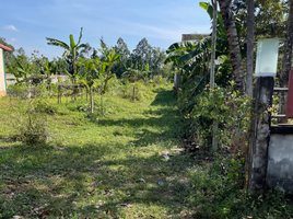  Land for sale in Khok Kloi, Takua Thung, Khok Kloi