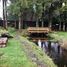 6 Schlafzimmer Haus zu verkaufen in Cautin, Araucania, Pucon, Cautin, Araucania, Chile