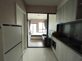 1 Bedroom Apartment for rent at The Tree Pattanakarn - Ekkamai, Suan Luang