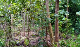 Земельный участок, N/A на продажу в Huai Haeng, Uthai Thani 