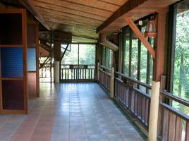 7 Bedroom House for sale in Chiang Mai International Airport, Suthep, Pa Daet