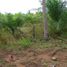  Land for sale in Prachuap Khiri Khan, Ang Thong, Thap Sakae, Prachuap Khiri Khan